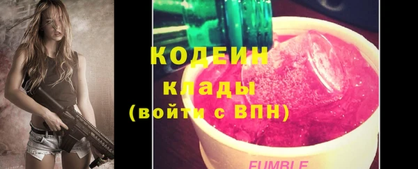 spice Богородицк