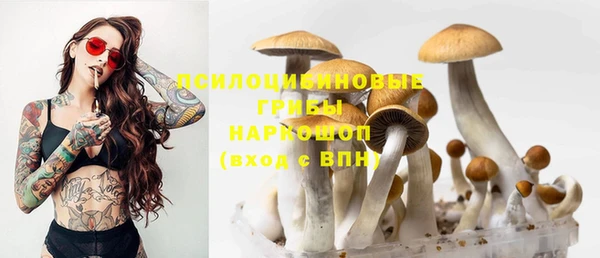 гидра Богданович