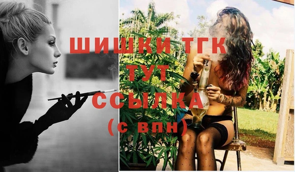 твердый Володарск