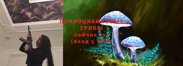 гидра Богданович