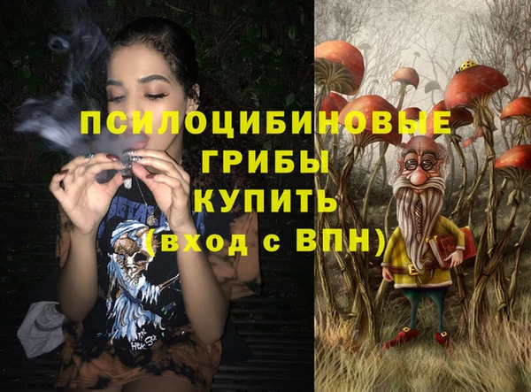 spice Богородицк
