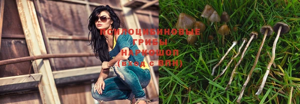 прущие крисы Волосово
