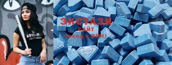 гидра Богданович