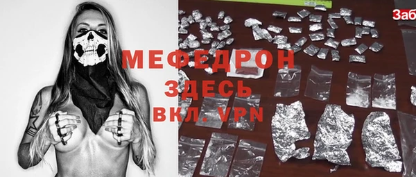 spice Богородицк