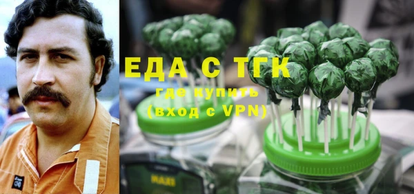 гидра Богданович