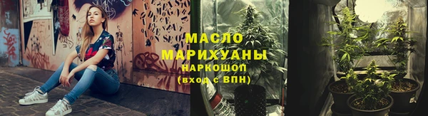 spice Богородицк